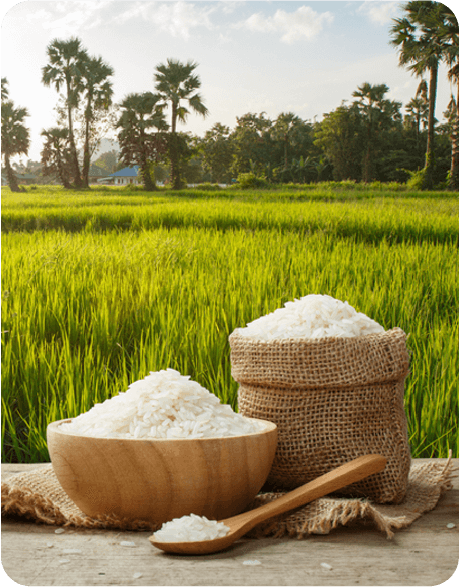 Agriculture News
