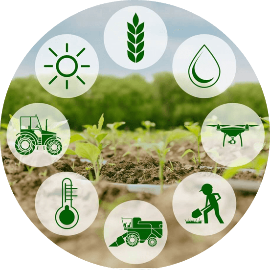 6. AGRICULTURES